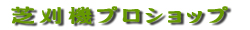olXbŊ@b@blbg@̔@iē